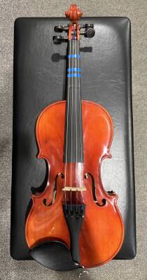 Store Special Product - Schoenbach - Viola 3/60 36 OF